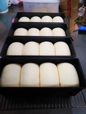 ইয়াসুর 40 ট্রে রিচ ইন টাইপ পিৎজা ডফ প্রুফার 40X60cm 2kw এয়ার ওয়াশ টাইপ স্টিমার জেনারেটর